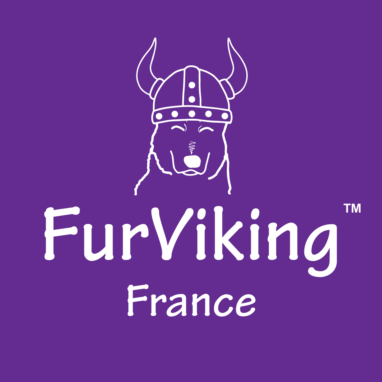 Logo FurViking France